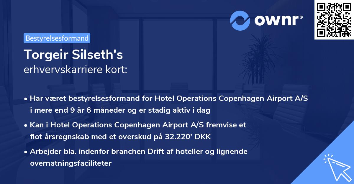 Torgeir Silseth's erhvervskarriere kort