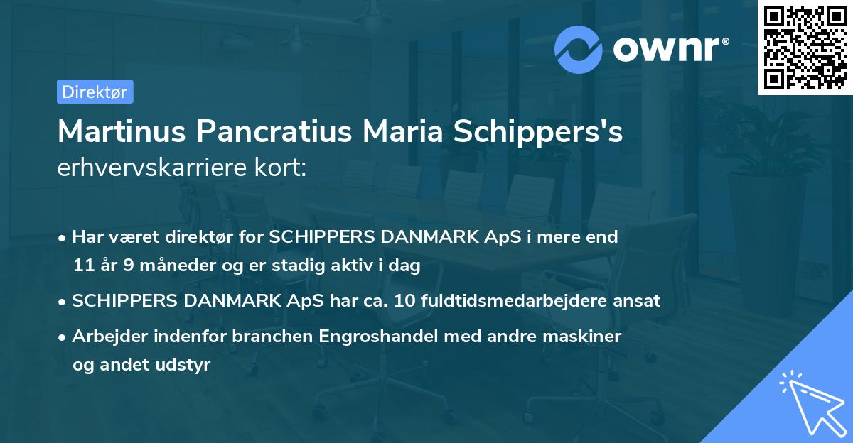 Martinus Pancratius Maria Schippers's erhvervskarriere kort