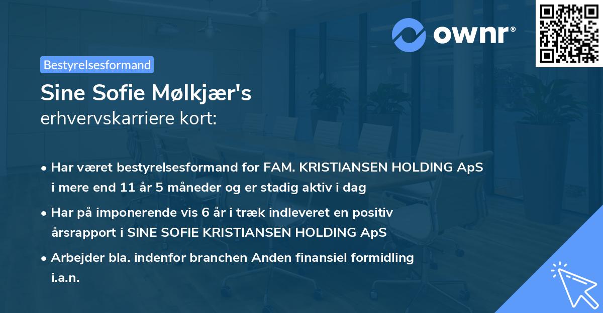 Sine Sofie Mølkjær's erhvervskarriere kort