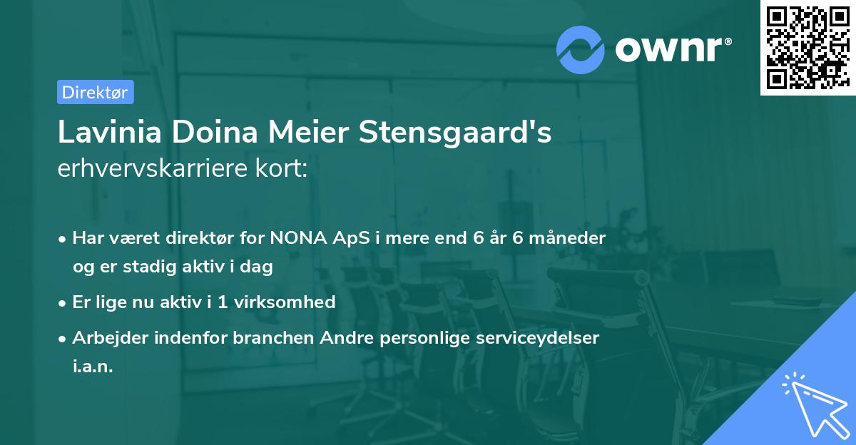 Lavinia Doina Meier Stensgaard's erhvervskarriere kort