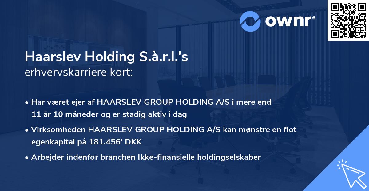 Haarslev Holding S.à.r.l.'s erhvervskarriere kort