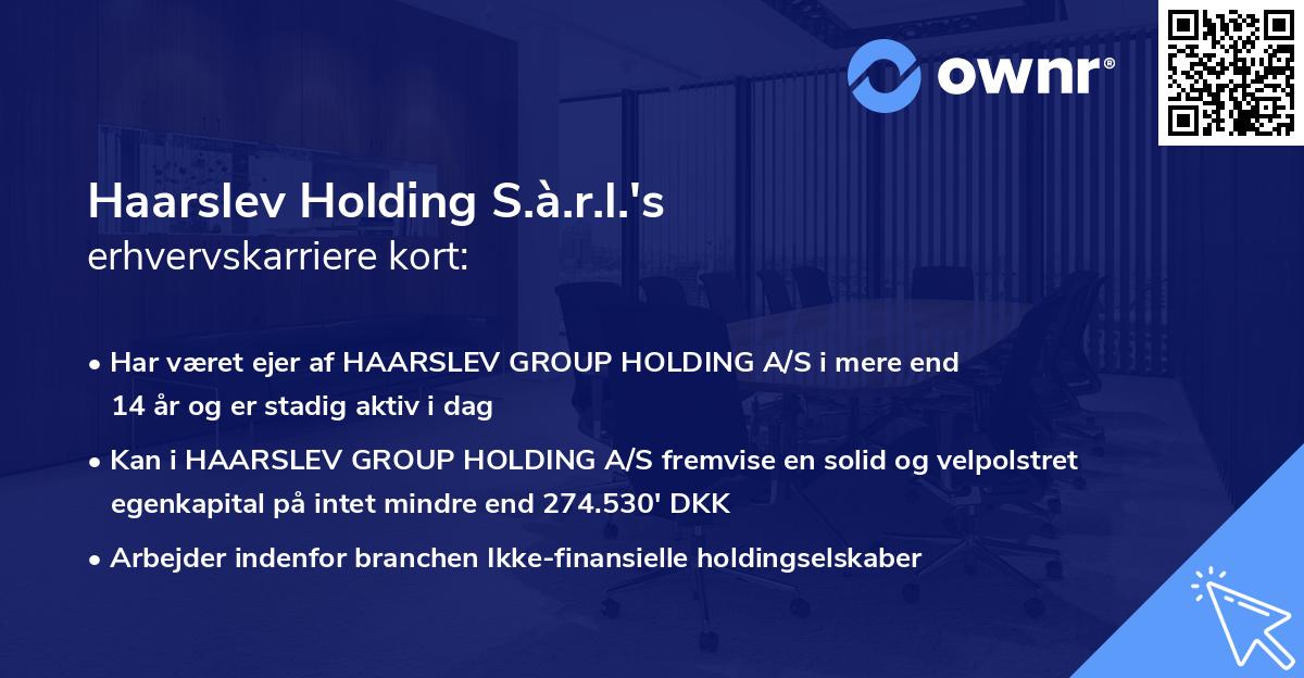 Haarslev Holding S.à.r.l.'s erhvervskarriere kort