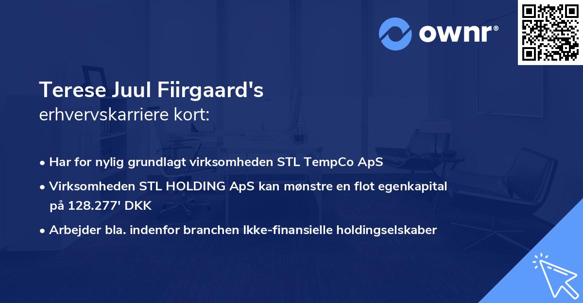 Terese Juul Fiirgaard's erhvervskarriere kort