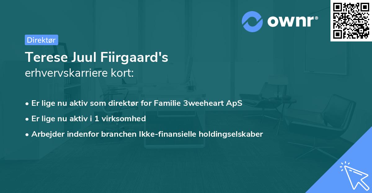 Terese Juul Fiirgaard's erhvervskarriere kort