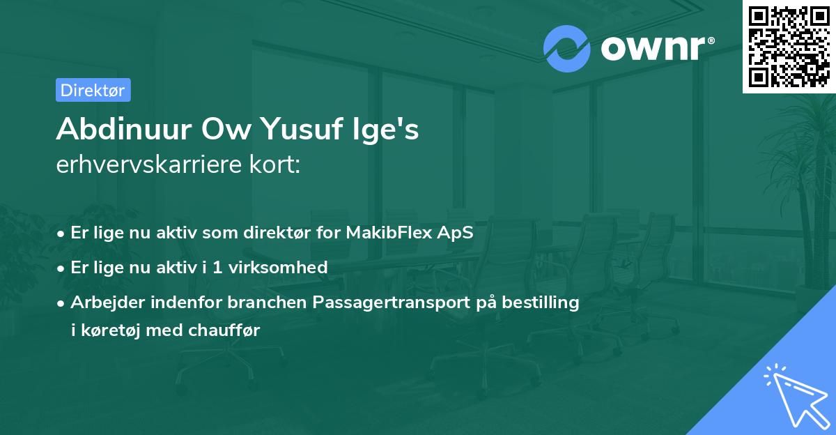 Abdinuur Ow Yusuf Ige's erhvervskarriere kort