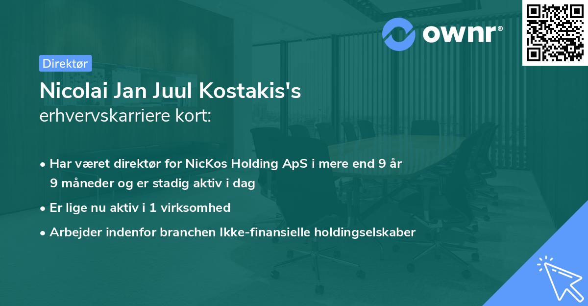 Nicolai Jan Juul Kostakis's erhvervskarriere kort