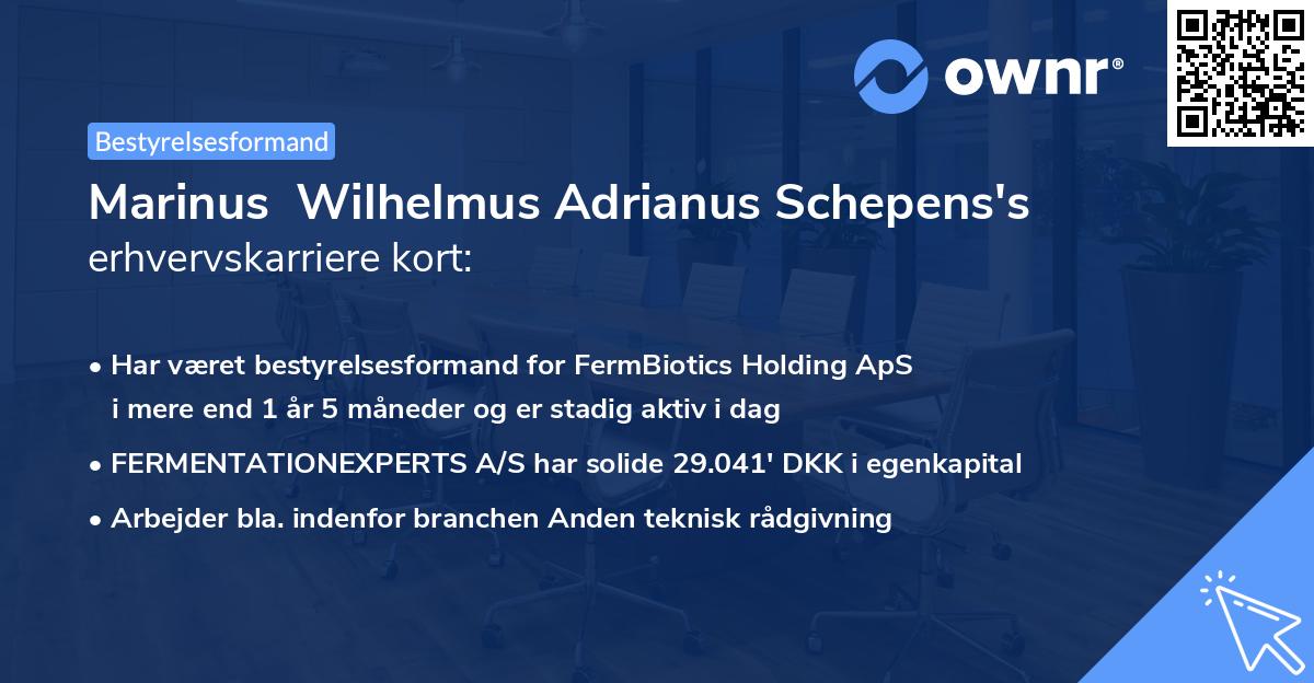 Marinus  Wilhelmus Adrianus Schepens's erhvervskarriere kort