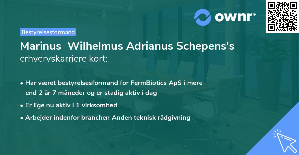 Marinus  Wilhelmus Adrianus Schepens's erhvervskarriere kort