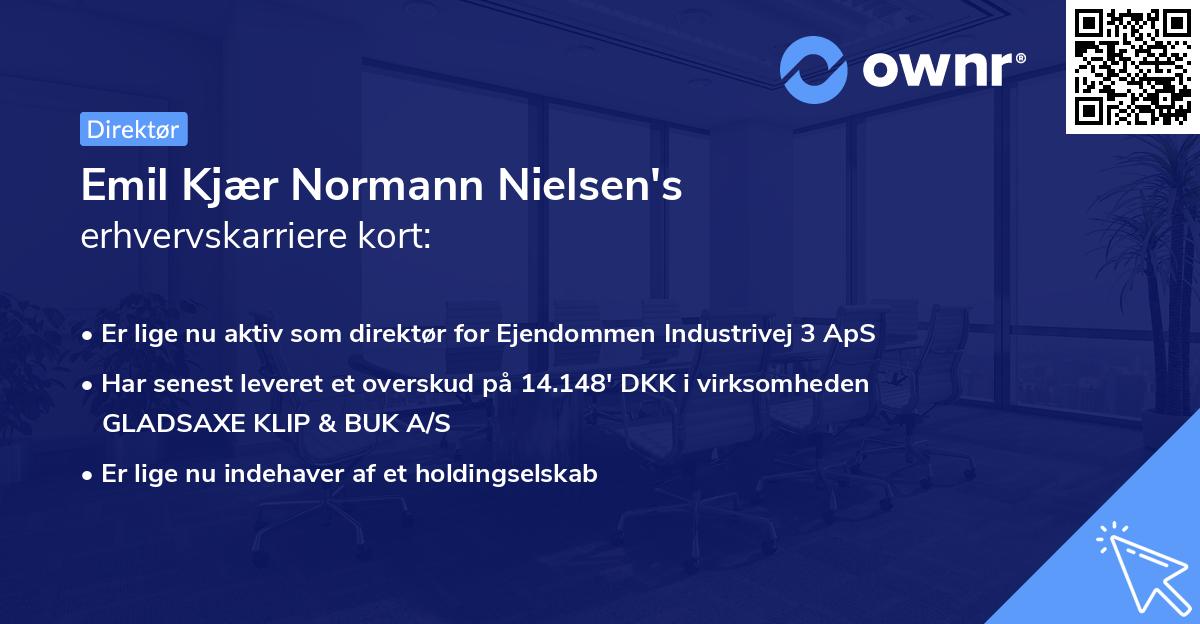 Emil Kjær Normann Nielsen's erhvervskarriere kort
