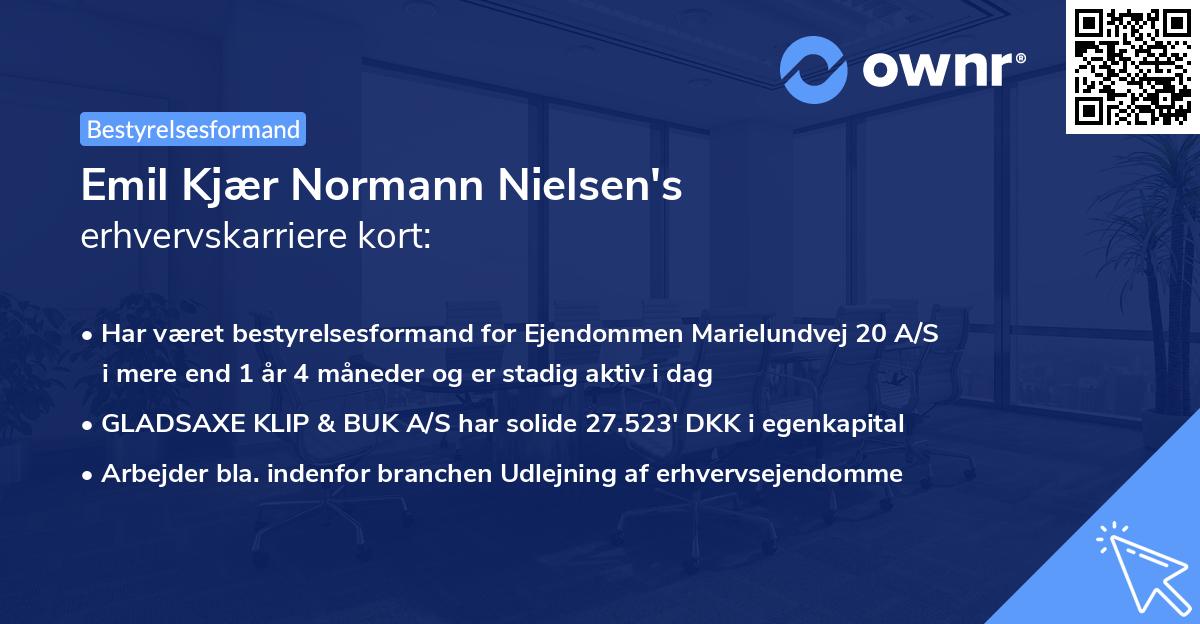 Emil Kjær Normann Nielsen's erhvervskarriere kort