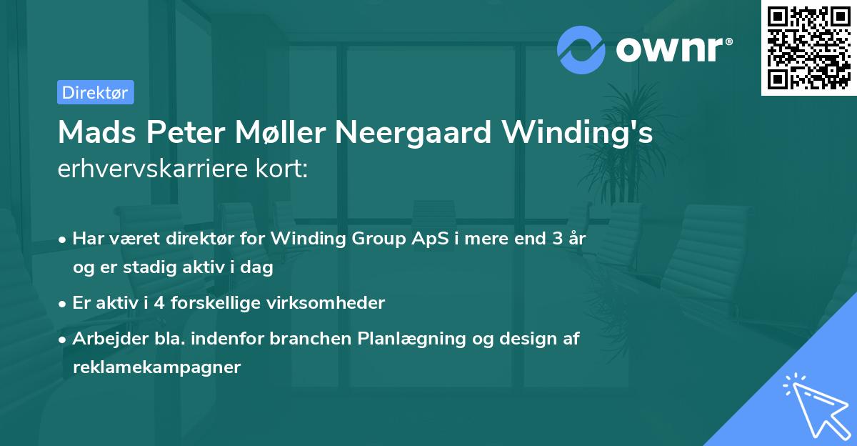 Mads Peter Møller Neergaard Winding's erhvervskarriere kort