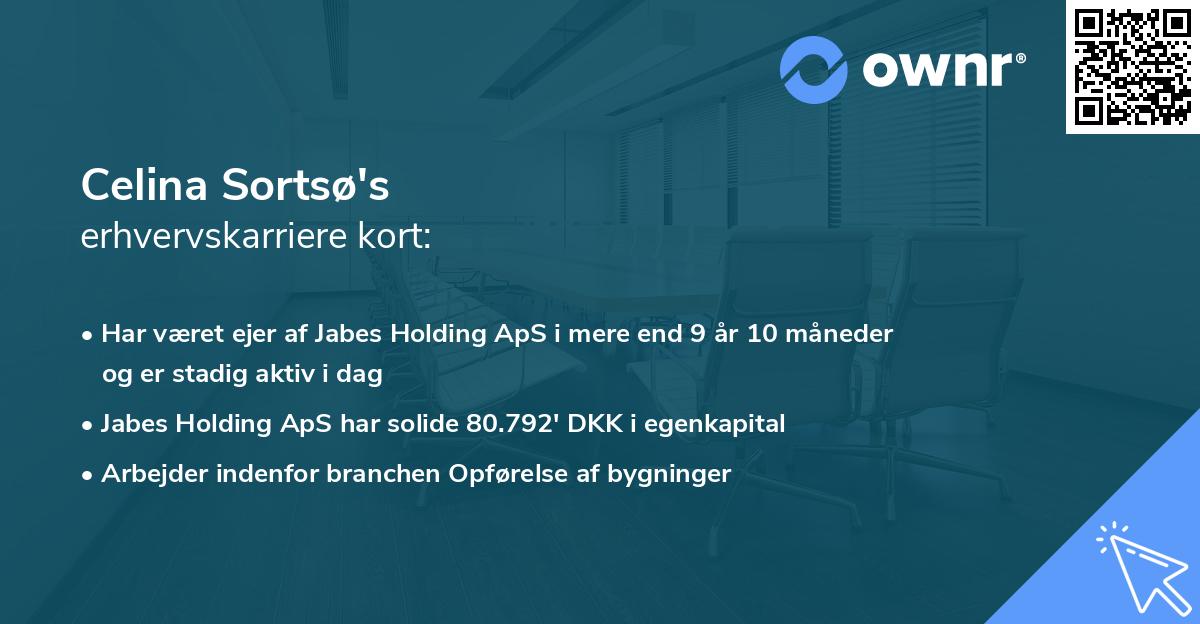 Celina Sortsø's erhvervskarriere kort