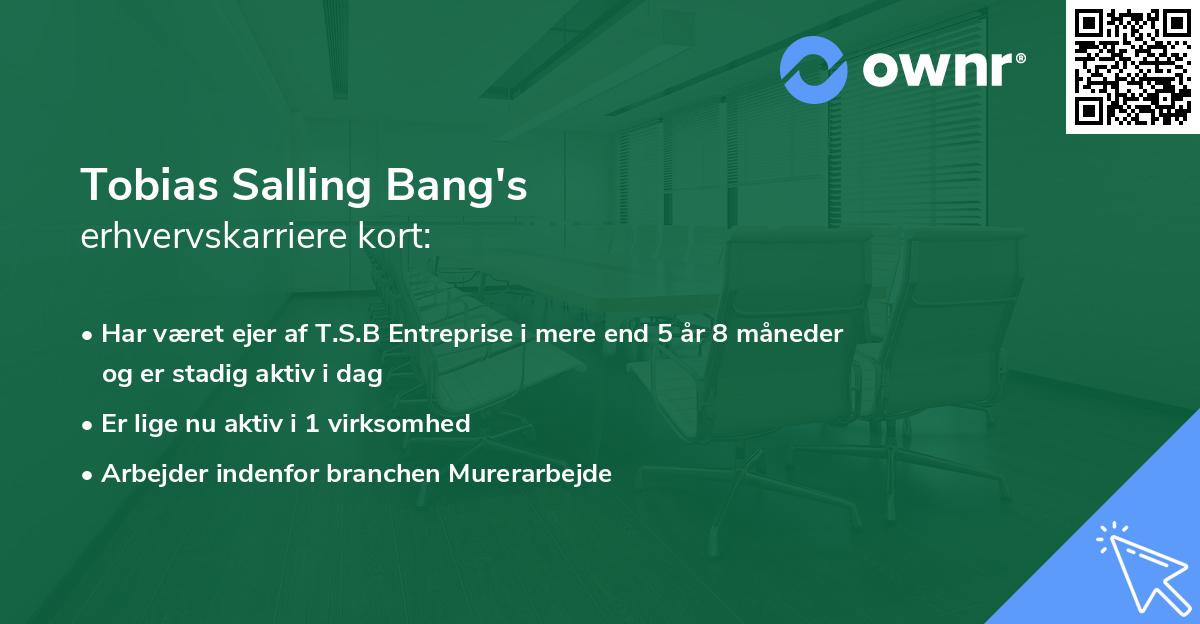Tobias Salling Bang's erhvervskarriere kort