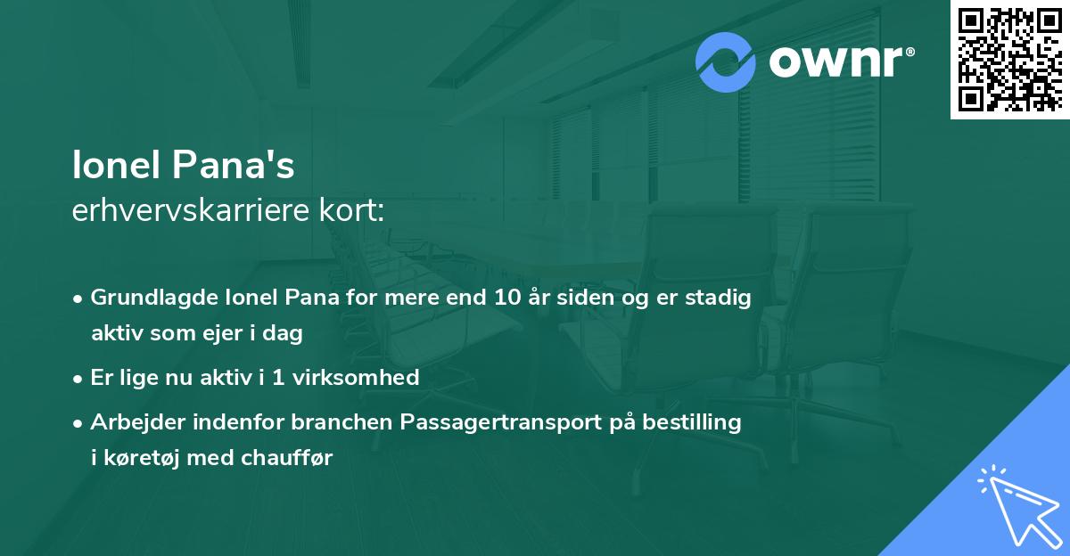 Ionel Pana's erhvervskarriere kort