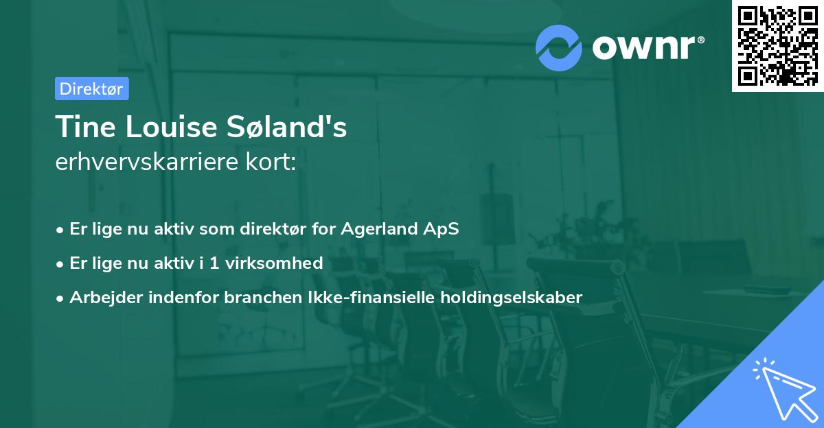 Tine Louise Søland's erhvervskarriere kort