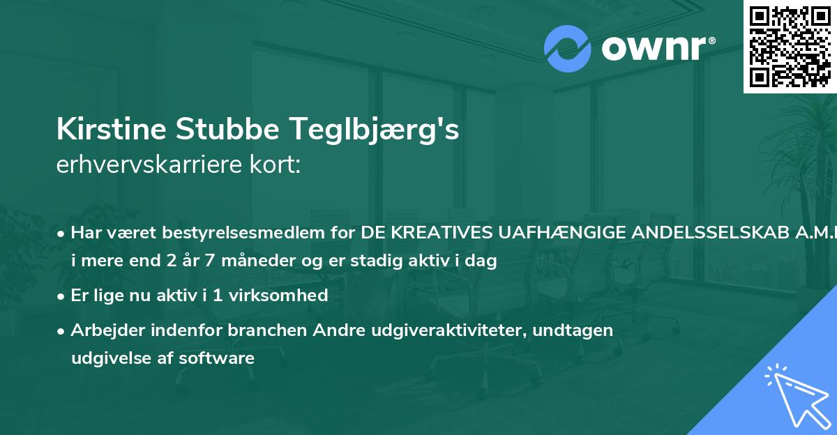 Kirstine Stubbe Teglbjærg's erhvervskarriere kort