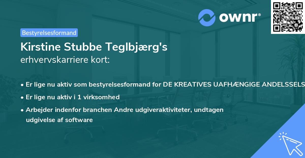 Kirstine Stubbe Teglbjærg's erhvervskarriere kort