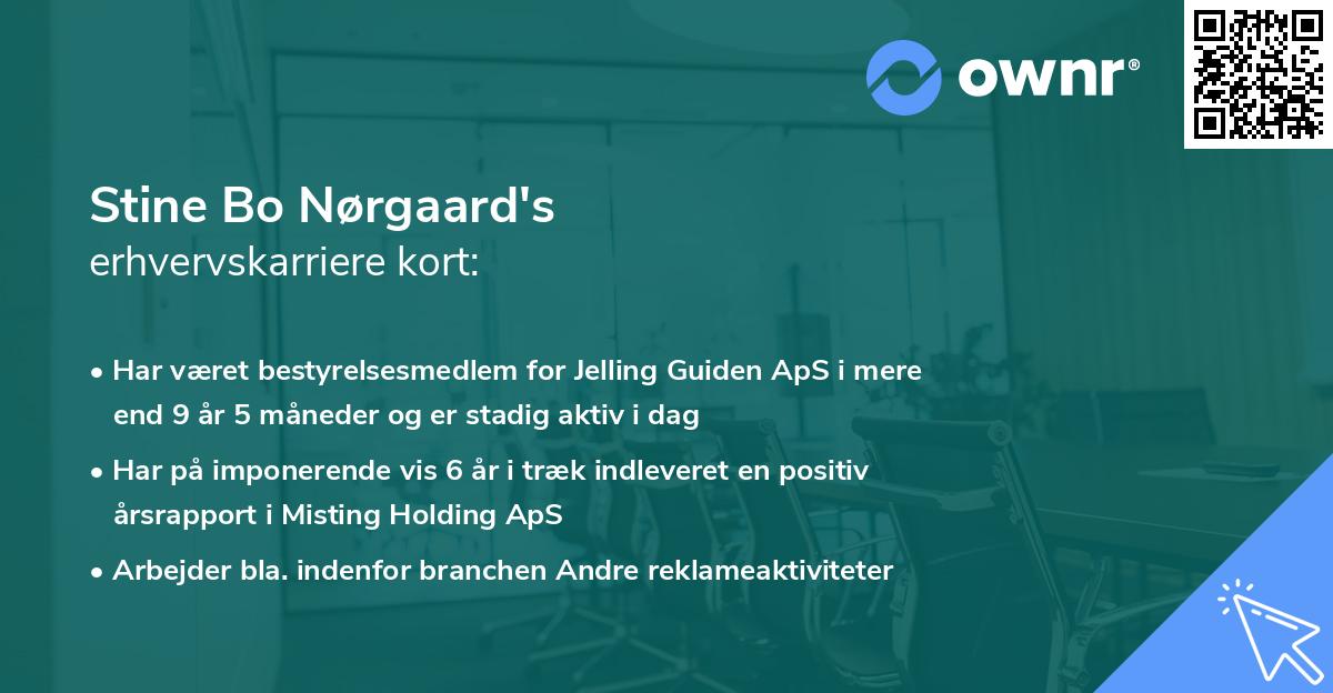 Stine Bo Nørgaard's erhvervskarriere kort