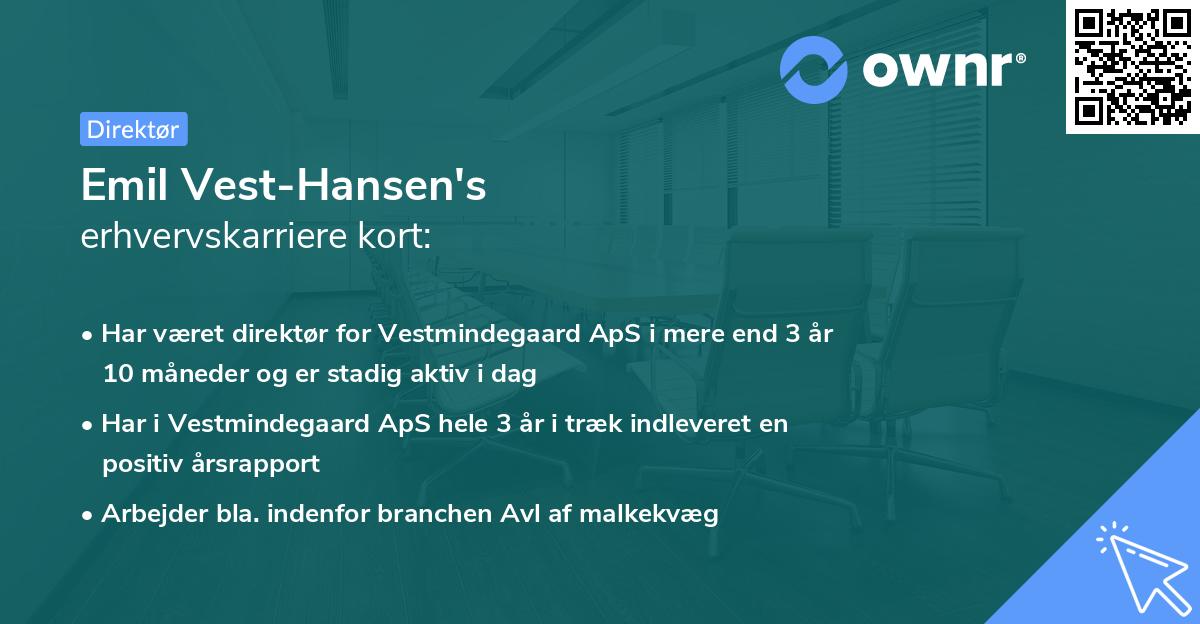 Emil Vest-Hansen's erhvervskarriere kort