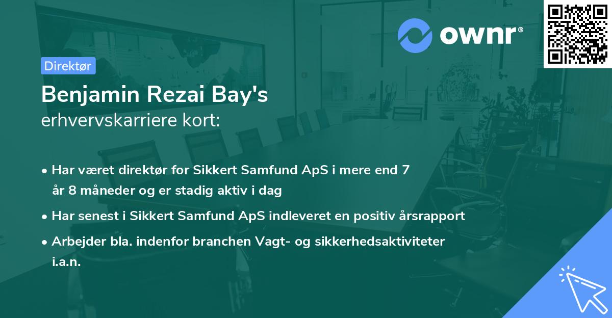 Benjamin Rezai Bay's erhvervskarriere kort