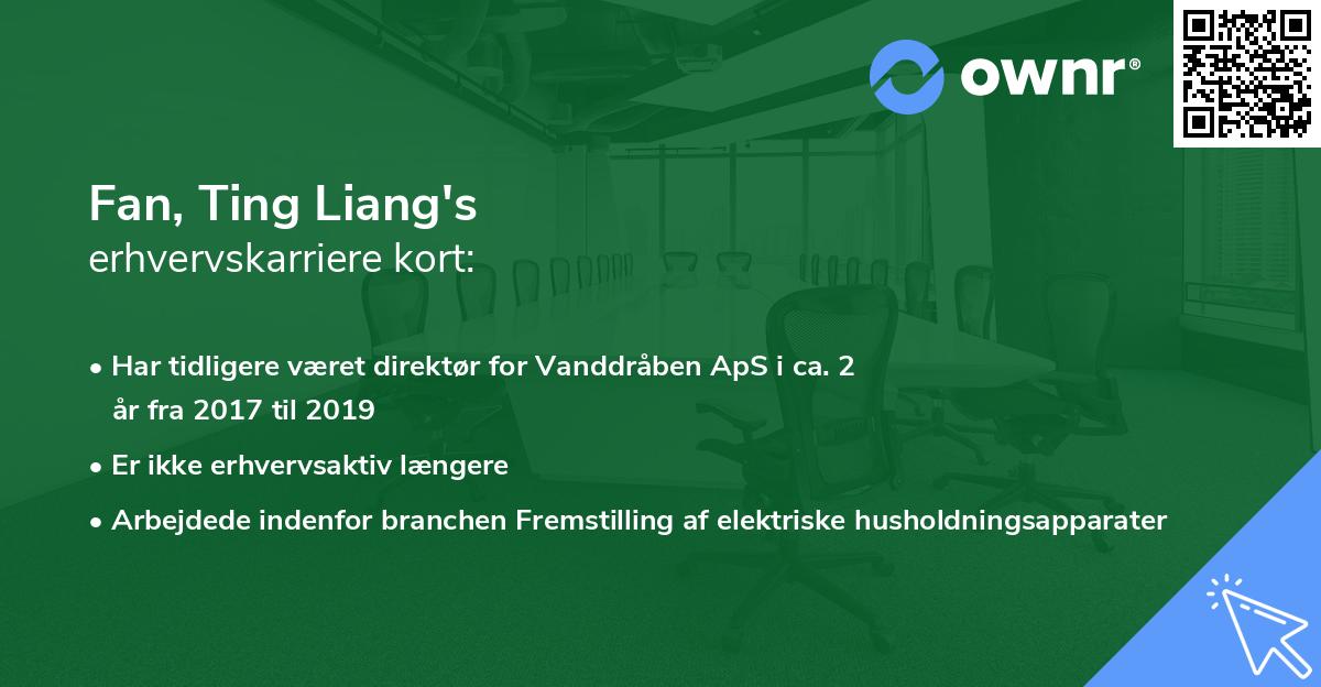 Fan, Ting Liang's erhvervskarriere kort