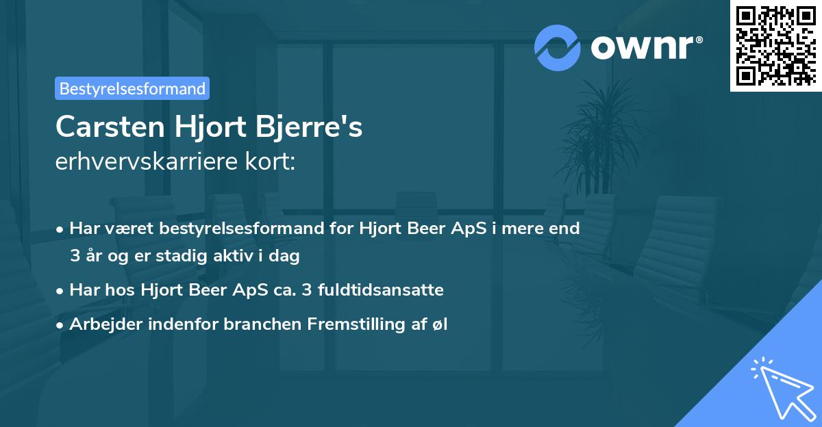 Carsten Hjort Bjerre's erhvervskarriere kort