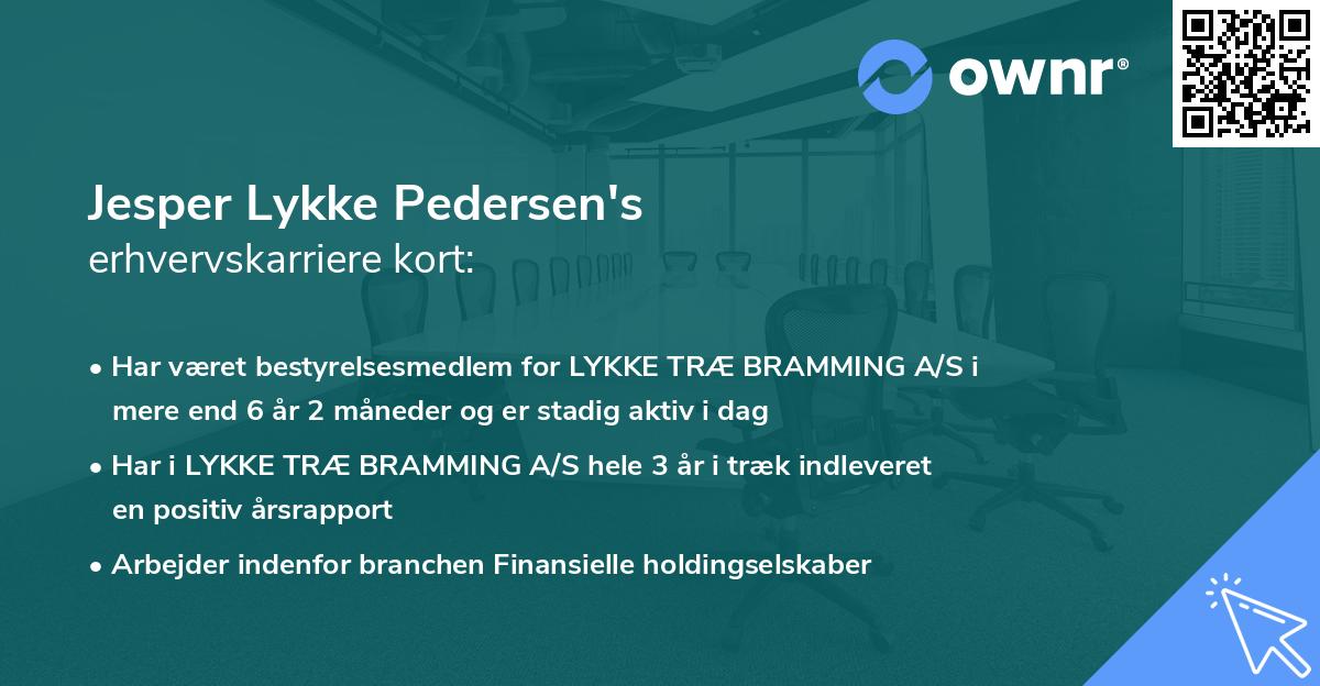 Jesper Lykke Pedersen's erhvervskarriere kort