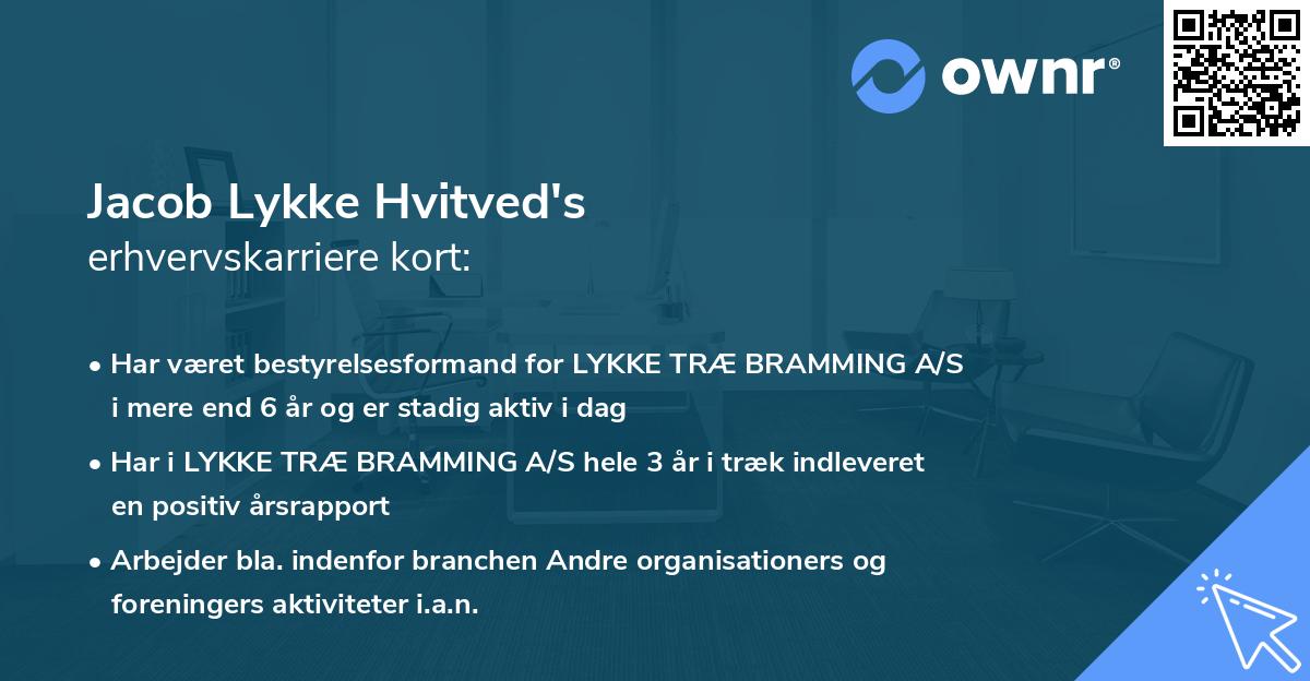 Jacob Lykke Hvitved's erhvervskarriere kort