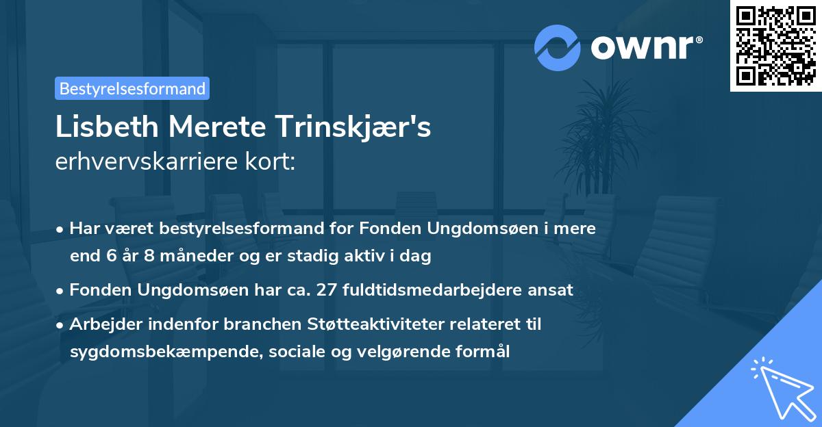 Lisbeth Merete Trinskjær's erhvervskarriere kort
