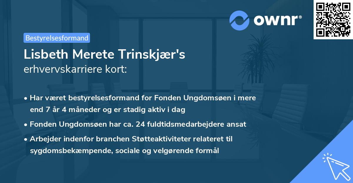 Lisbeth Merete Trinskjær's erhvervskarriere kort