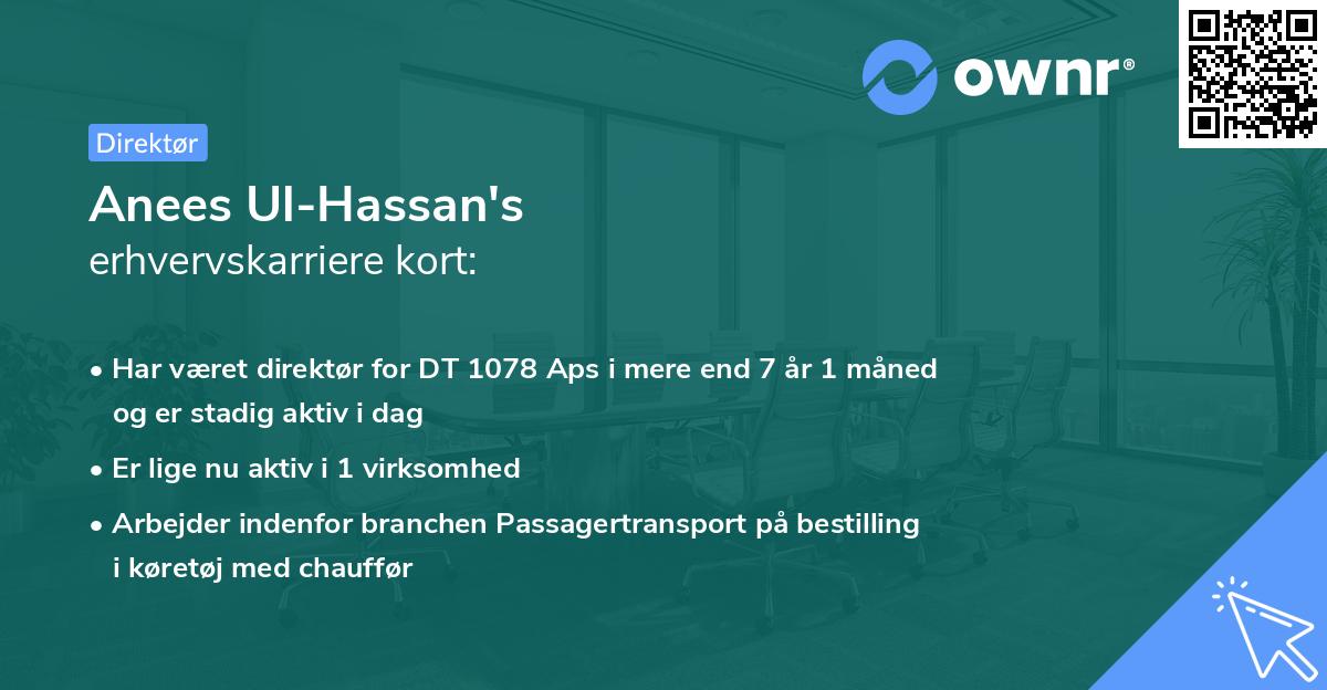 Anees Ul-Hassan's erhvervskarriere kort