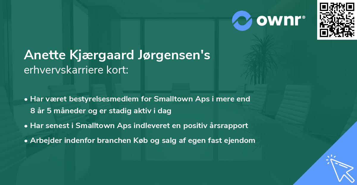 Anette Kjærgaard Jørgensen's erhvervskarriere kort