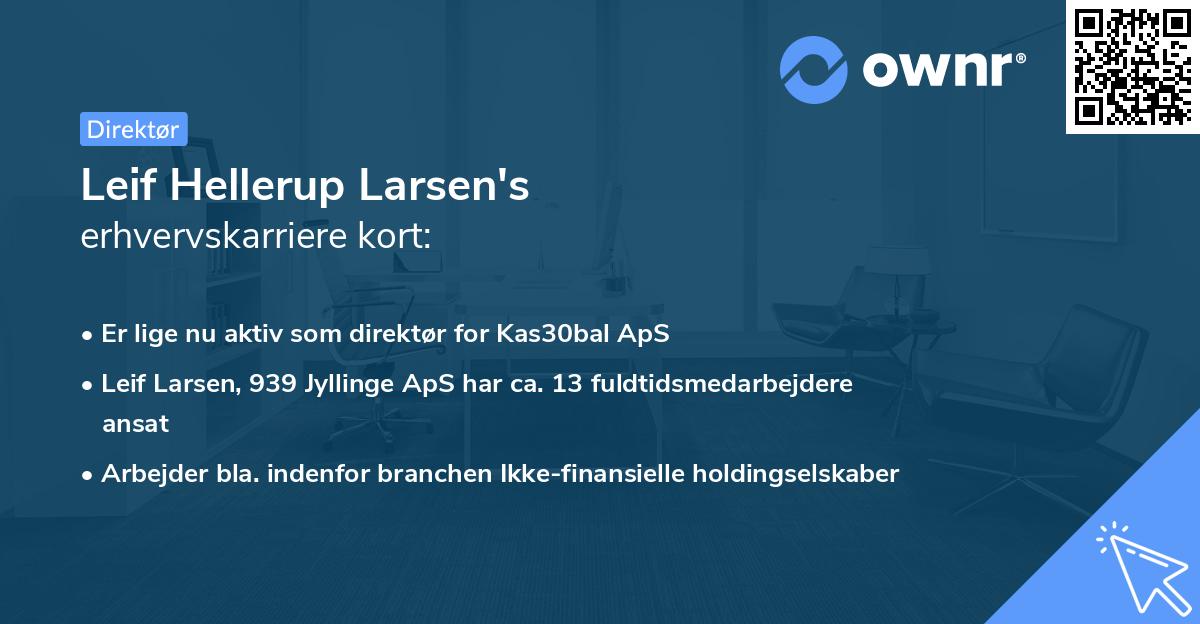 Leif Hellerup Larsen's erhvervskarriere kort