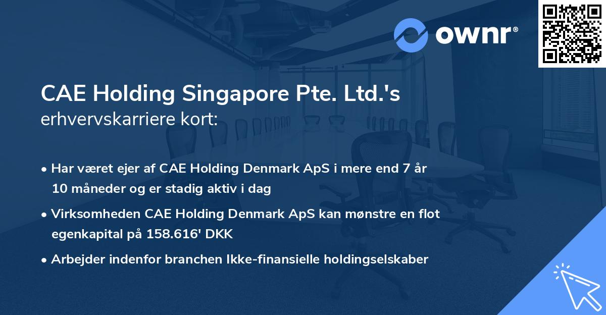CAE Holding Singapore Pte. Ltd.'s erhvervskarriere kort