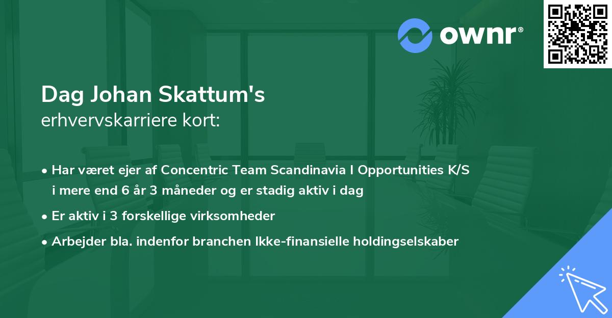Dag Johan Skattum's erhvervskarriere kort