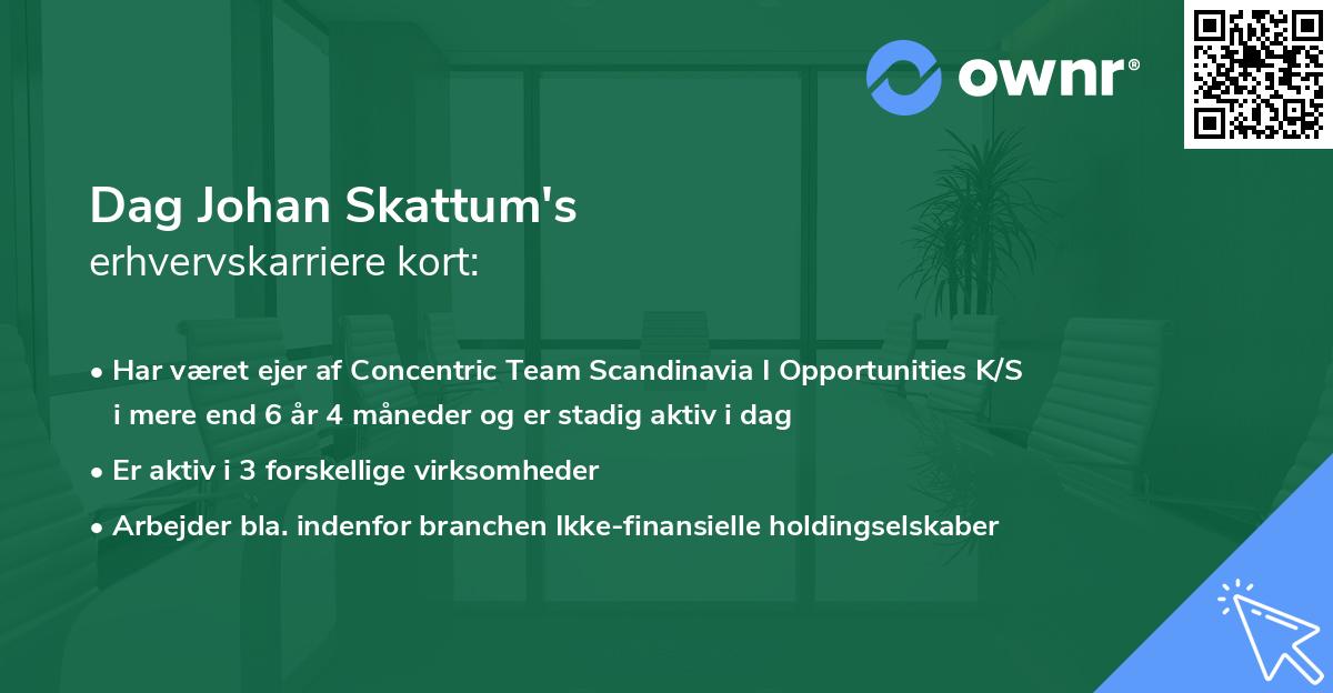 Dag Johan Skattum's erhvervskarriere kort