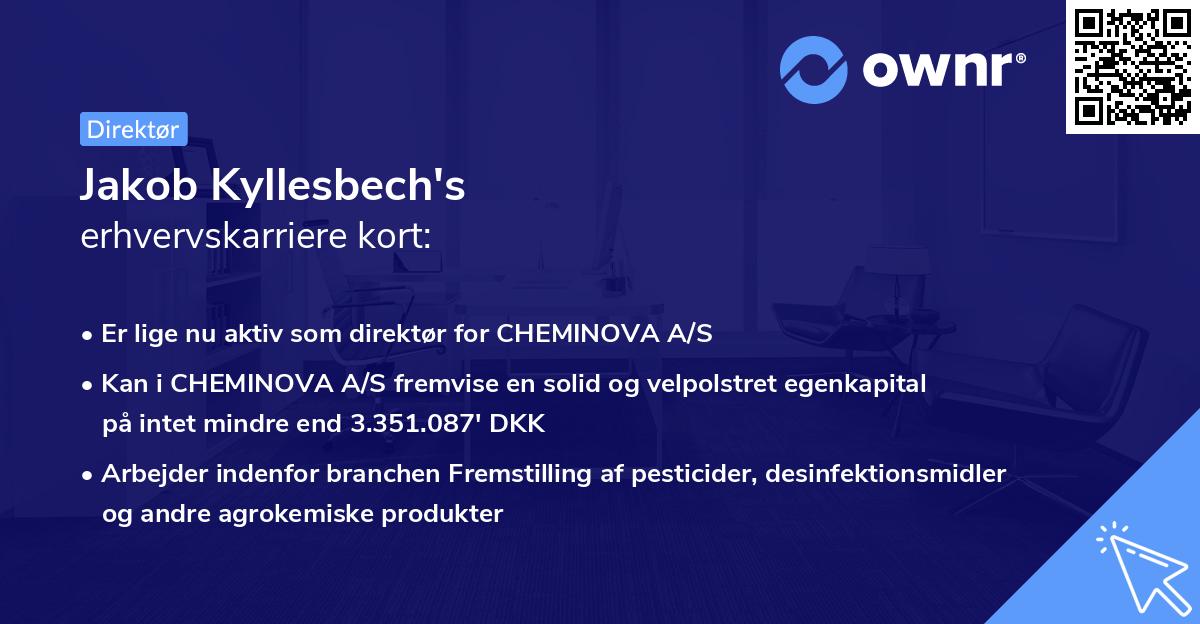 Jakob Kyllesbech's erhvervskarriere kort
