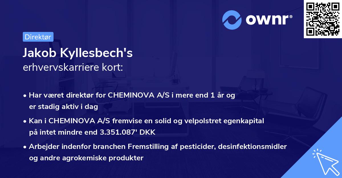 Jakob Kyllesbech's erhvervskarriere kort