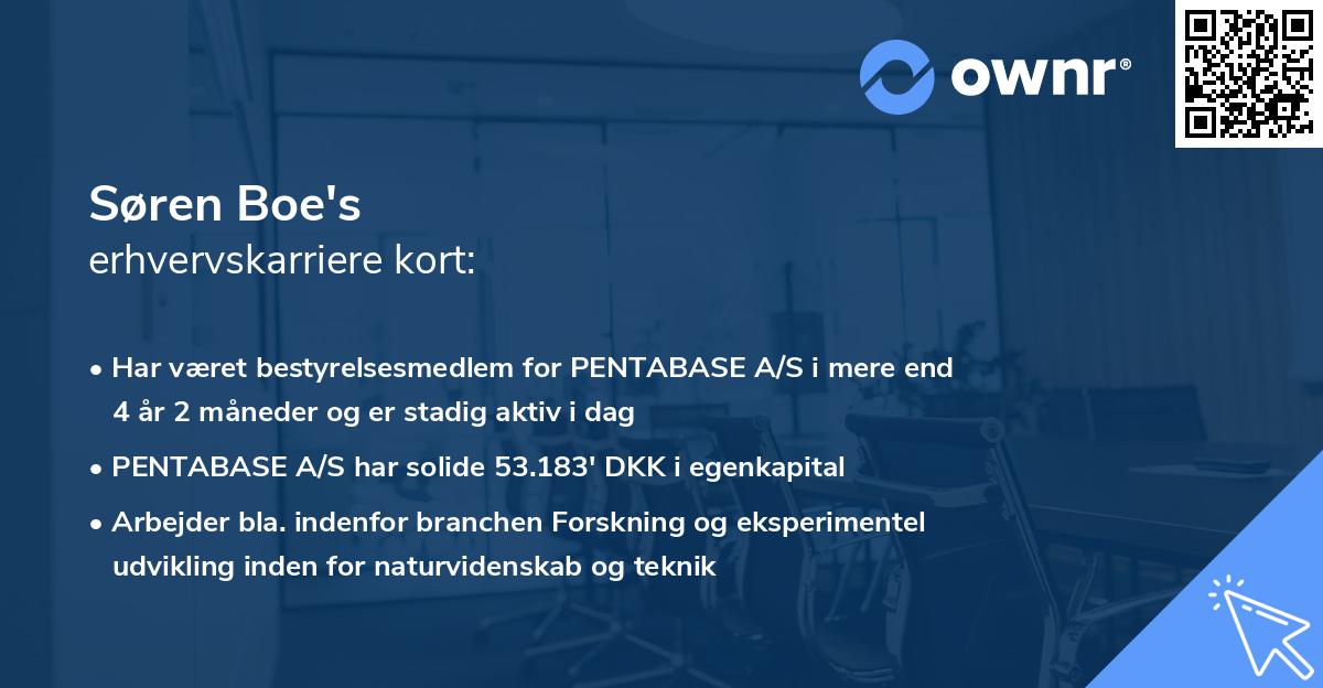 Søren Boe's erhvervskarriere kort