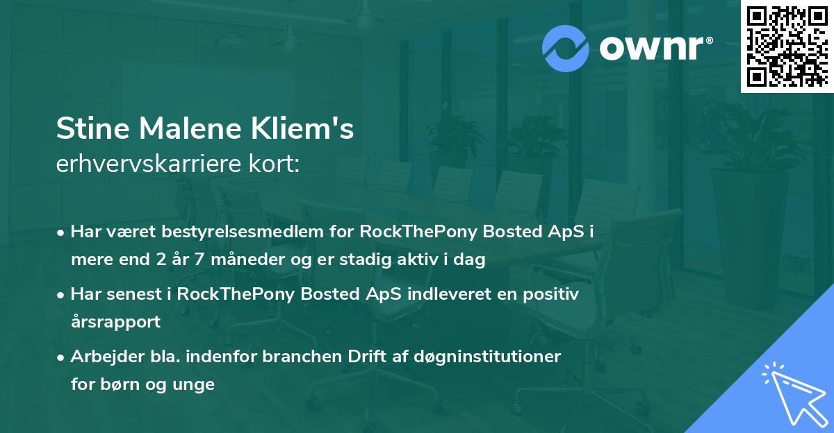 Stine Malene Kliem's erhvervskarriere kort