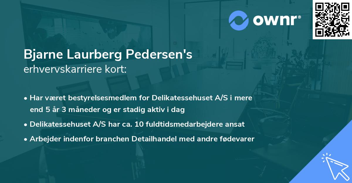 Bjarne Laurberg Pedersen's erhvervskarriere kort