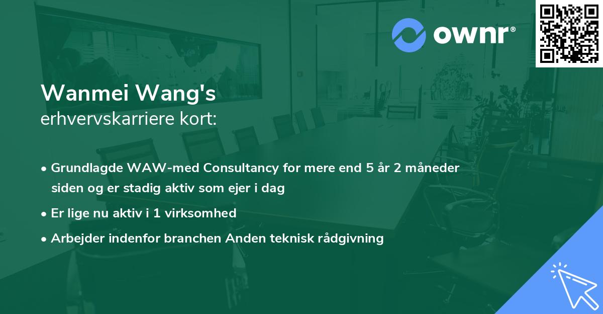 Wanmei Wang's erhvervskarriere kort