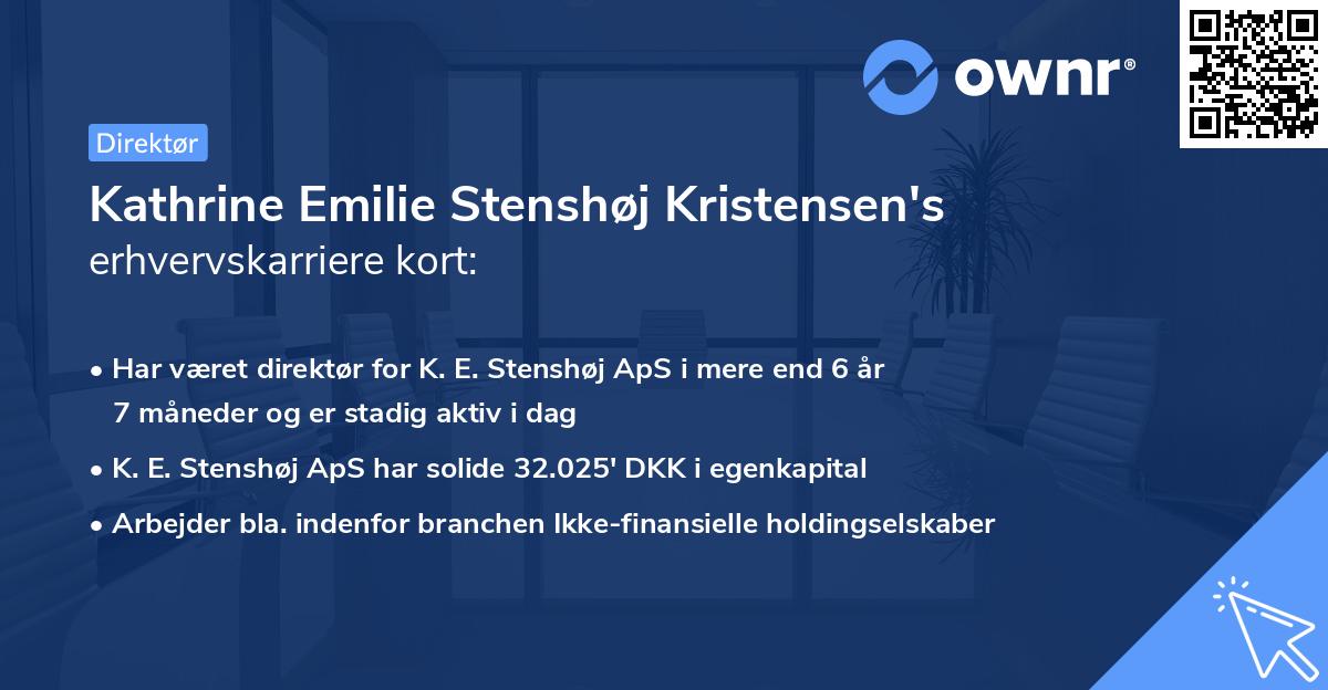 Kathrine Emilie Stenshøj Kristensen's erhvervskarriere kort