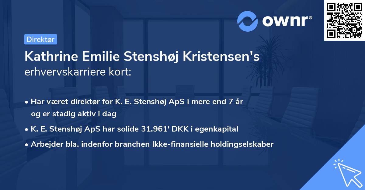 Kathrine Emilie Stenshøj Kristensen's erhvervskarriere kort