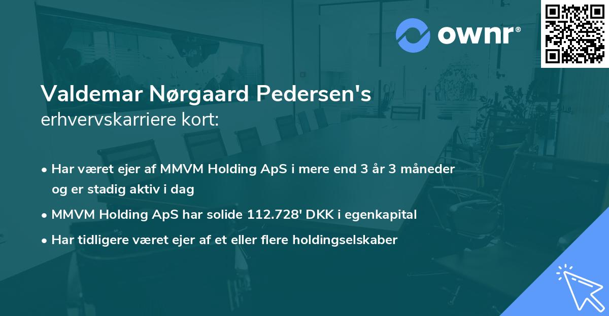 Valdemar Nørgaard Pedersen's erhvervskarriere kort