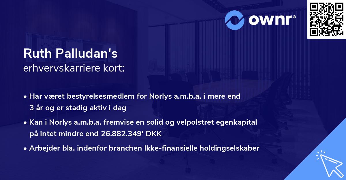 Ruth Palludan's erhvervskarriere kort