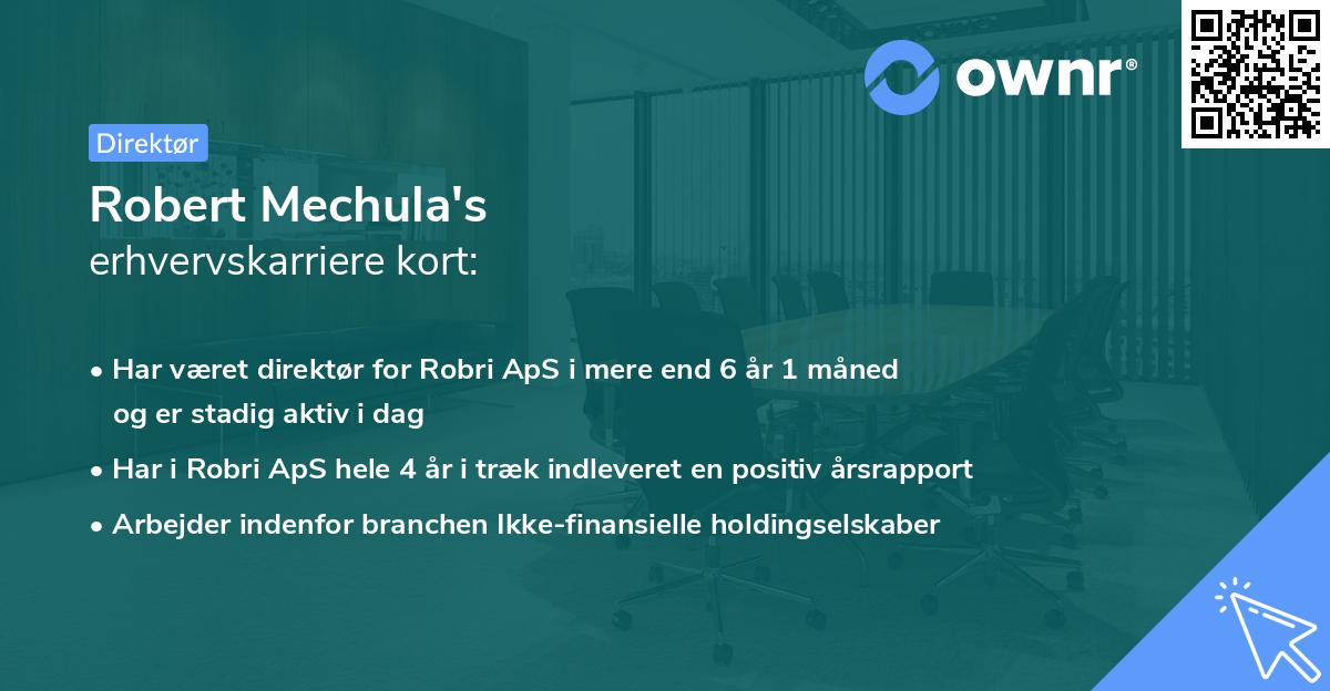 Robert Mechula's erhvervskarriere kort