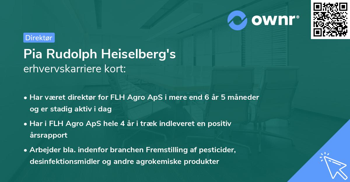 Pia Rudolph Heiselberg's erhvervskarriere kort