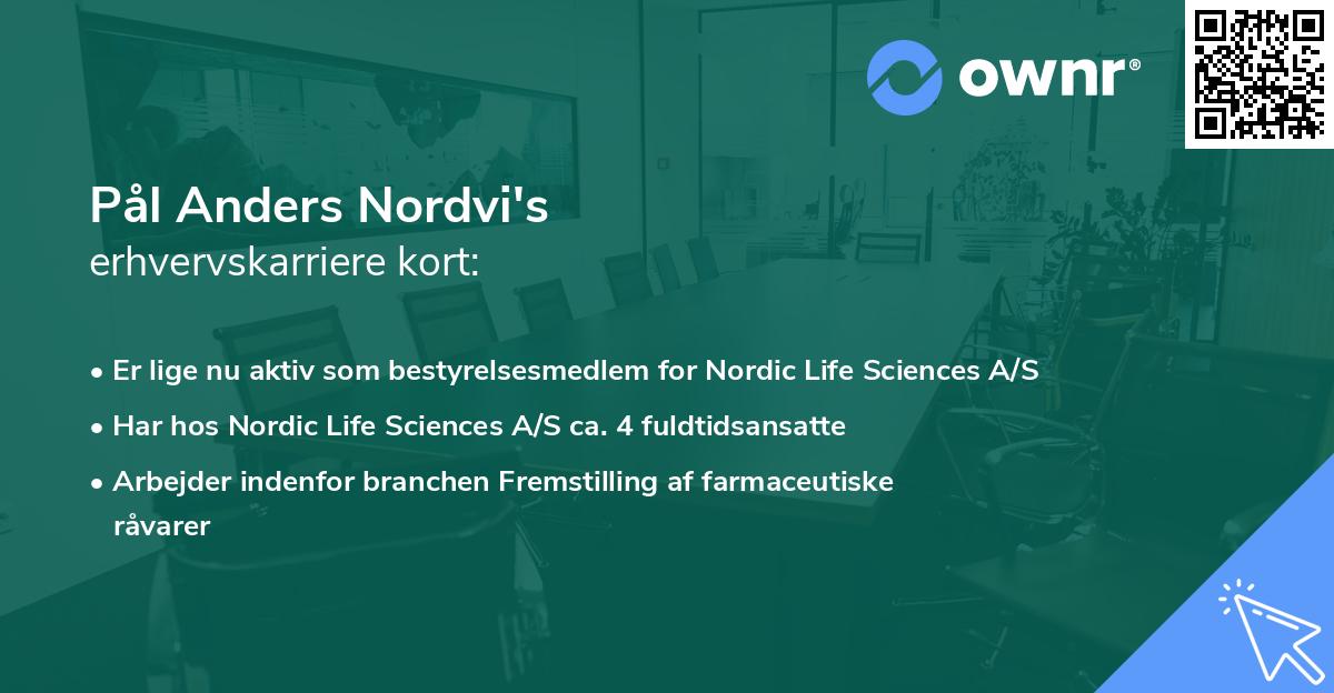 Pål Anders Nordvi's erhvervskarriere kort