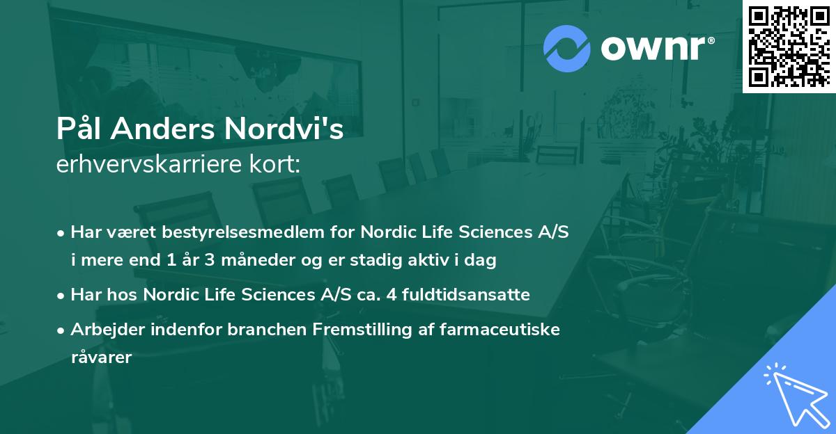 Pål Anders Nordvi's erhvervskarriere kort
